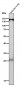 Anti-Importin 9 / RANBP9 Rabbit Monoclonal Antibody